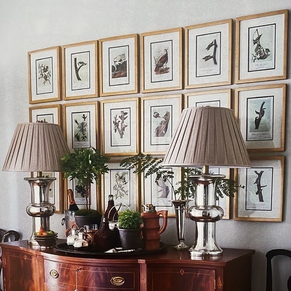 Antique Ornithological Bird Print Original 1913 - Picture 5 of 14